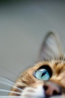 /album/swag/j5zhheazqzm-jpg/